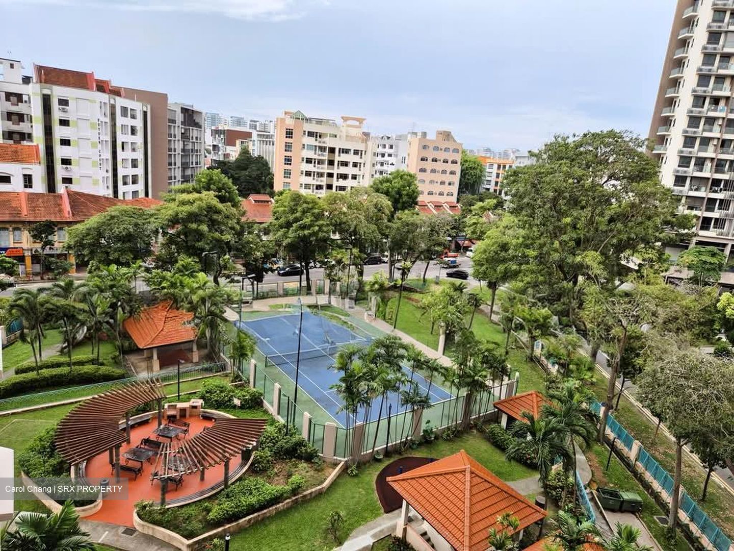Simsville (D14), Condominium #565252721
